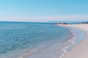 Ultime disponibilita