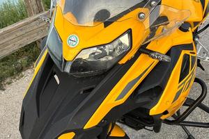 Benelli TRK 502 Limited Edition