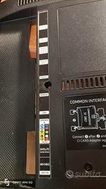 scheda video TV Samsung