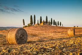 Sacile - San Odorico terreno agricolo mq. 15.000