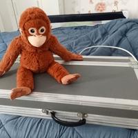 pioneer cdj 350 pack