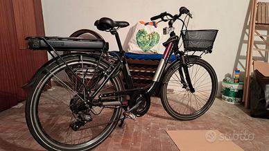 Bici elettrica Montana