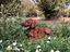 Immagine 4