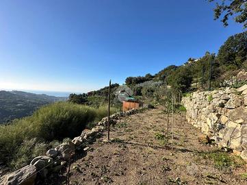 TER. AGRICOLO A VALLEBONA