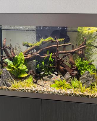 Acquario Askoll Opera 150