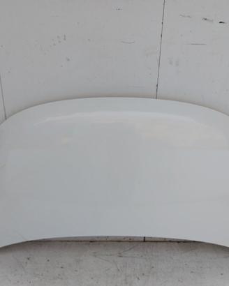 664000X020 COFANO ANTERIORE HYUNDAI I10 I REST (PA