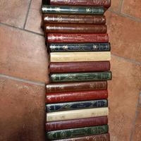 Set Collezione romanzi I grandi della letteratura