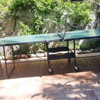 Tavolo ping pong professionale 