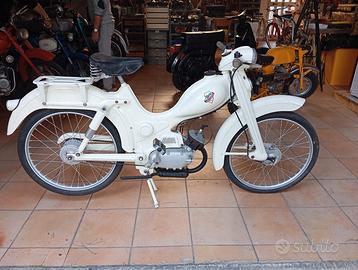 Vivi viberti - 1962