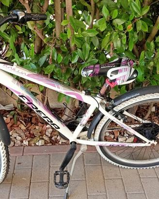 Mountain bike Frera 