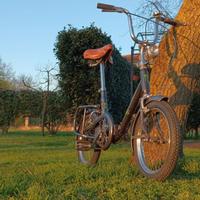 Graziella bici tuning limited edition moster ARTIG