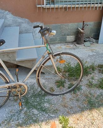 Bicicletta