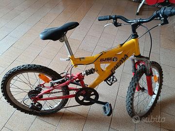 Bicicletta per ragazzino