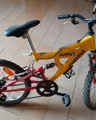 Bicicletta per ragazzino
