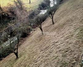 RUSTICO CON TERRENO