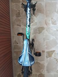 bicicletta