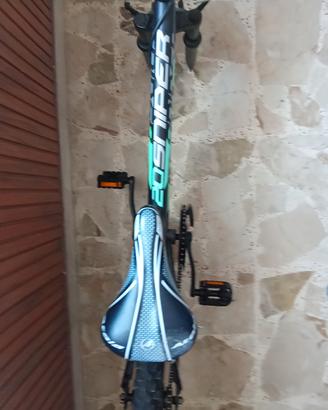 bicicletta