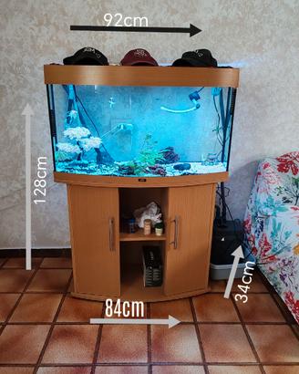 acquario completo
