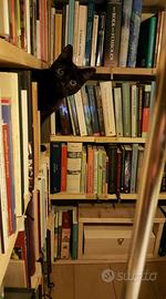 SERVIZIO DI RITIRO A MANO DI  LIBRI GRATUITO