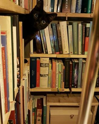 SERVIZIO DI RITIRO A MANO DI  LIBRI GRATUITO