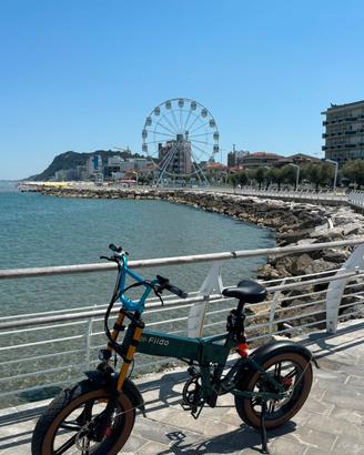 Bicicletta elettrica