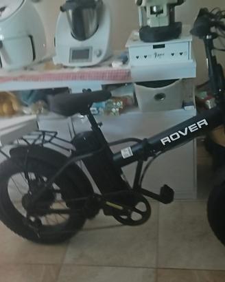 Bicicletta elettrica