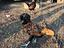 Immagine 4