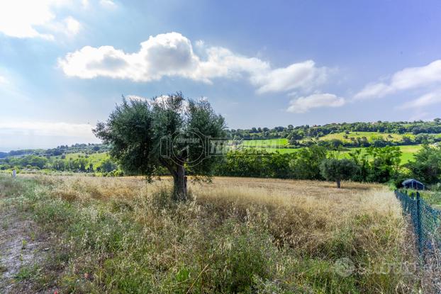 Terreno agricolo a Civitanova Marche 1 locali