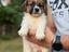 Immagine 4