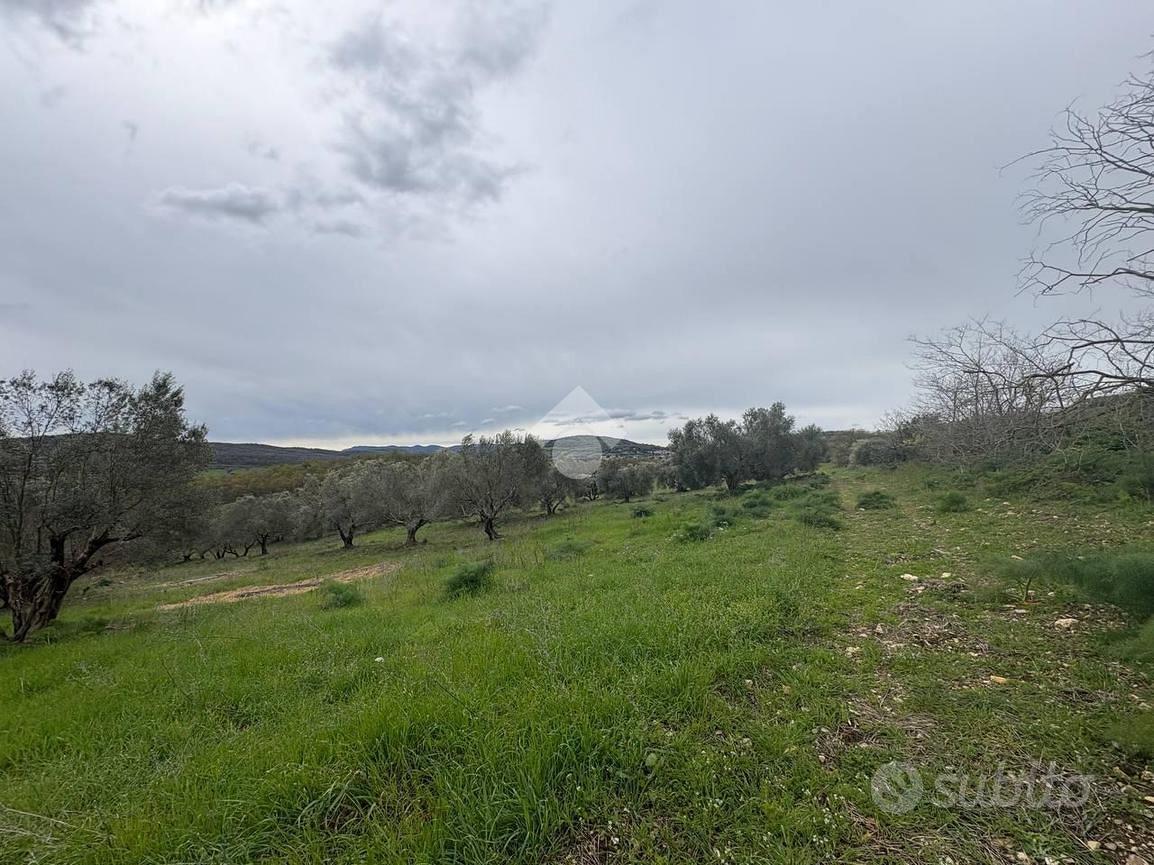 TER. AGRICOLO A MONTE ROMANO - Vista 5