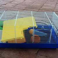 gabbia e accessori per criceti o simili