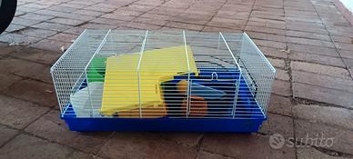 gabbia e accessori per criceti o simili