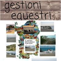 Quote centri turismo equestre