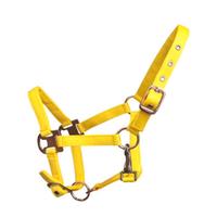 02 cavezze nylon Shetland a colori