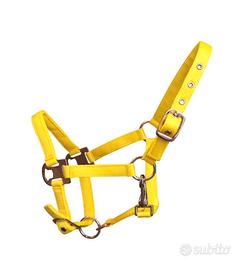 02 cavezze nylon Shetland a colori