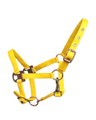 02 cavezze nylon Shetland, nuovissime !