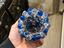 Immagine 4