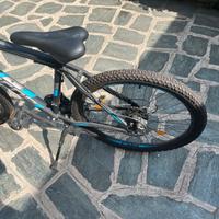Bici lincon