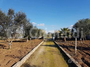 Terreno Agricolo Parabita [Cod. rif 3286338VCG]