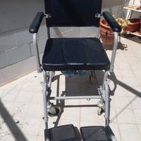 Sedia a rotelle per disabili