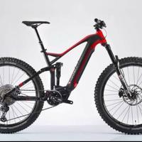 e-bike brinke