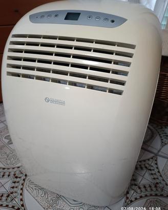 climatizzatore portatile 