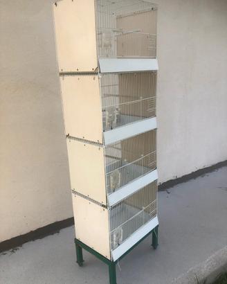 Carrello 4 Gabbie con Casetto