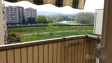 Singola in appartamento con solo altri 2 studenti