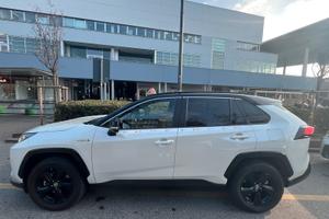 Toyota rav 4 Style