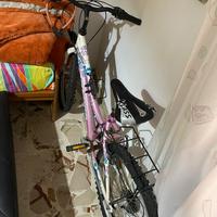 Bicicletta 24