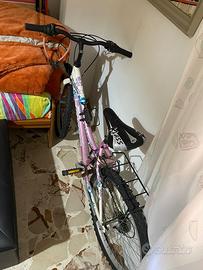 Bicicletta 24