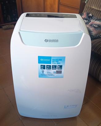 climatizzatore portatile
