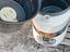 Immagine 4