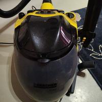 vaporetto karcher professionale